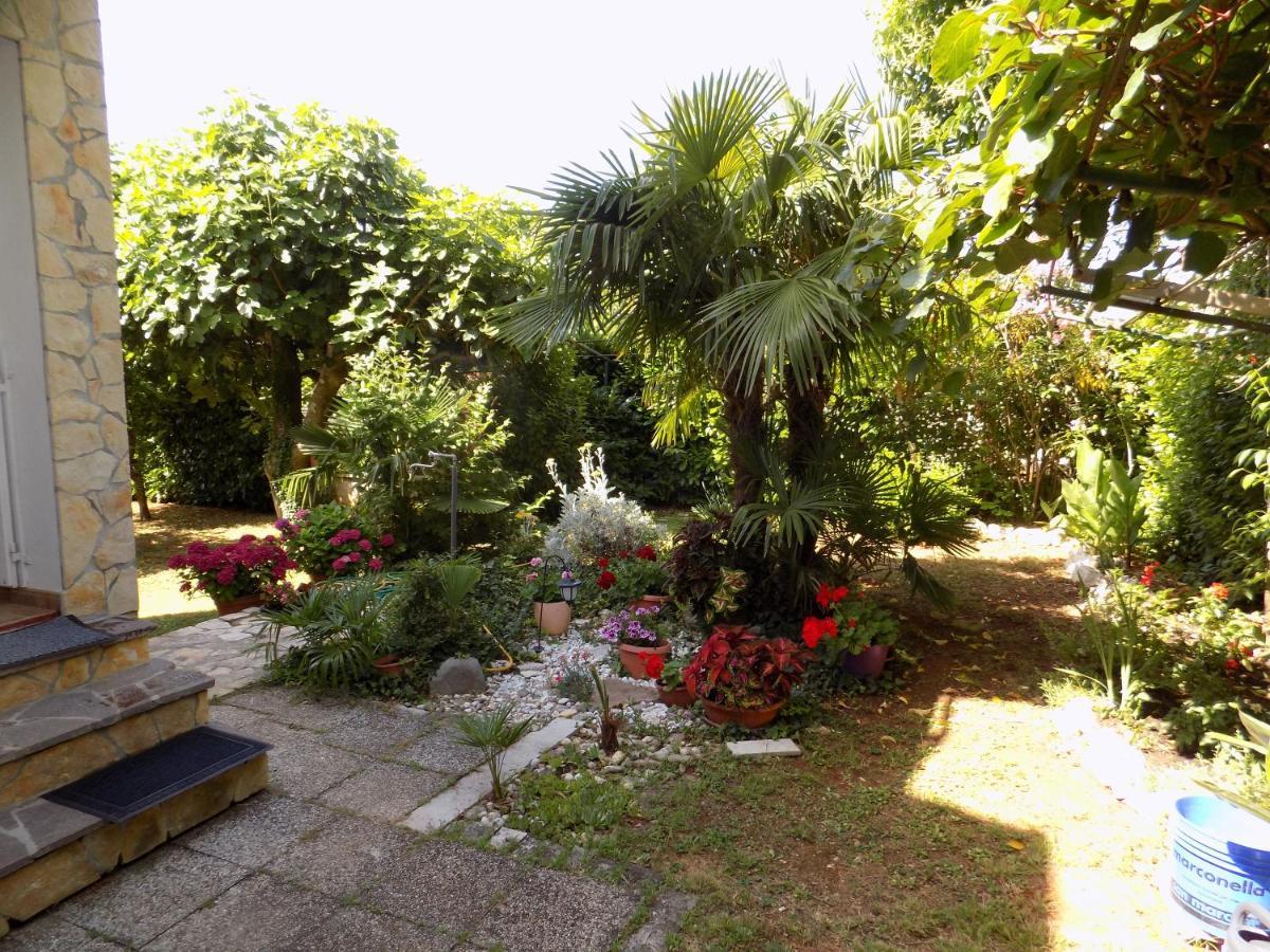Oriella Apartmans And Room Novigrad Istria Εξωτερικό φωτογραφία